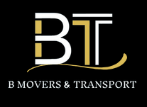 BT Logo