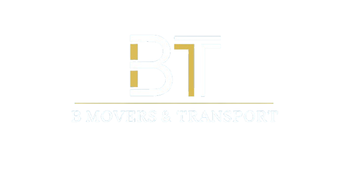 BT Logo